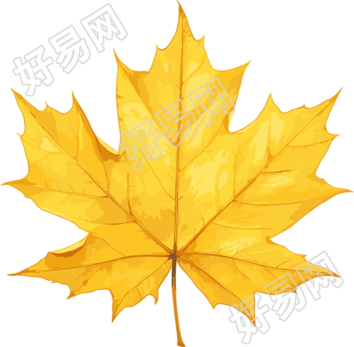 秋日枫叶商业插图