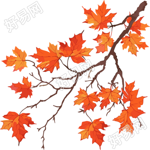 秋日枫叶可商用插画