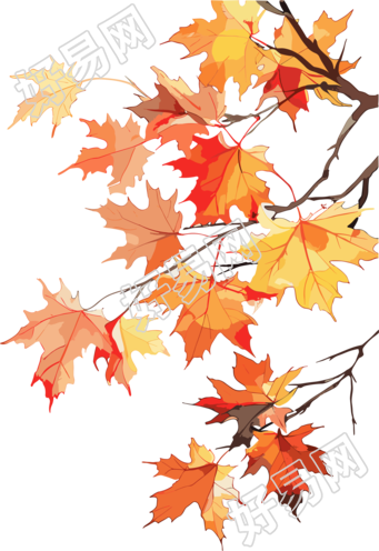 秋日枫叶图形素材
