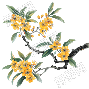 国风桂花元素
