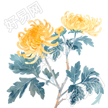国风菊花插图