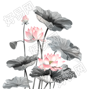 水墨荷花插画