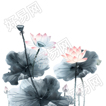 水墨荷花莲蓬插画