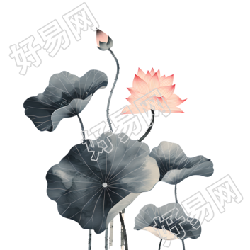 水墨荷花插画元素