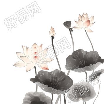 水墨荷花简约插图
