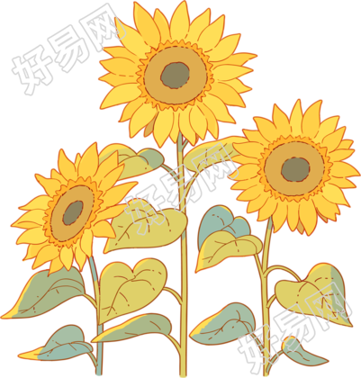 卡通向日葵简单线描素材