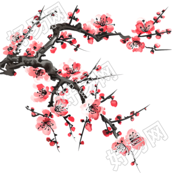 中国风梅花插画