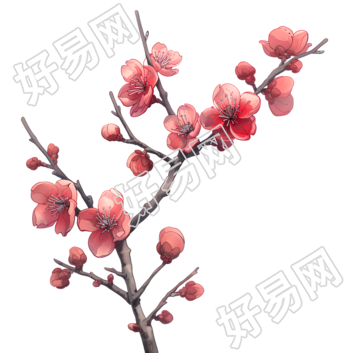 中国风梅花素材