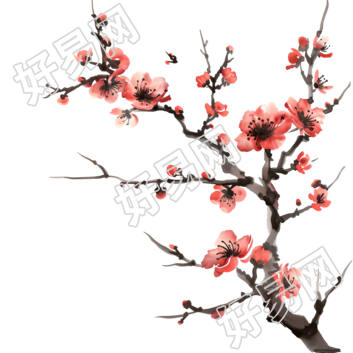 中国风梅花插画素材