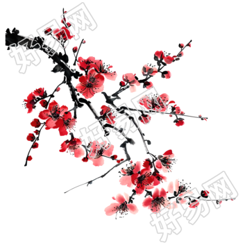 中国风梅花商用素材