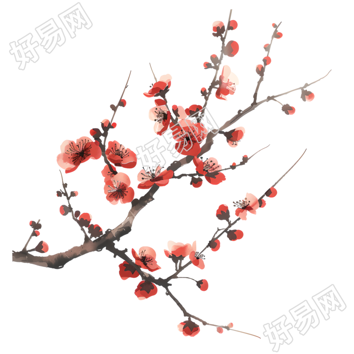 中国风梅花精美插图