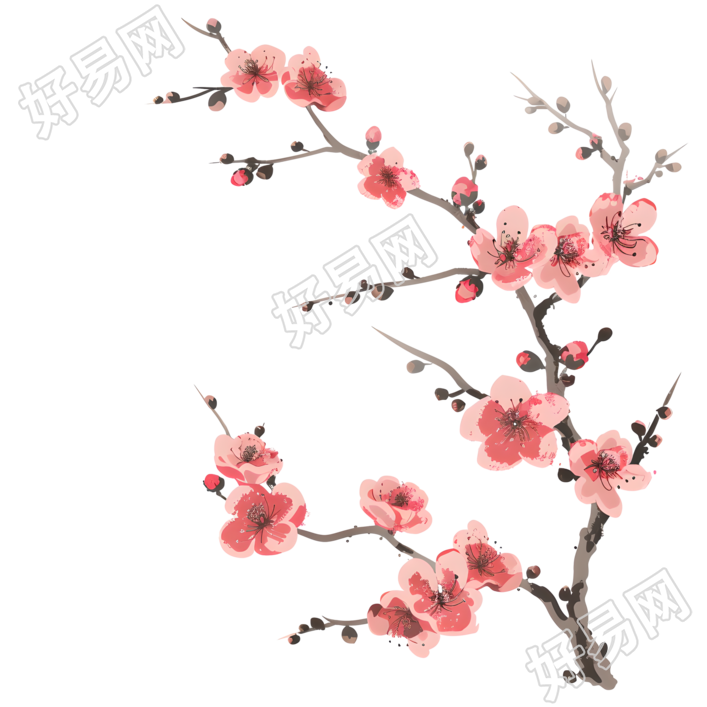 中国风梅花设计元素