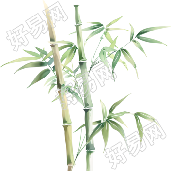 中国风竹子插画素材