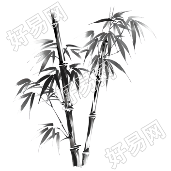 中国风竹子商用插画
