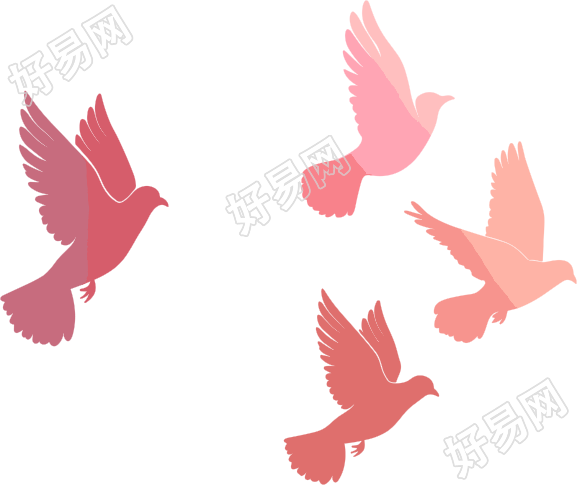 红色和平鸽插图
