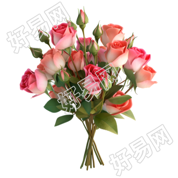 玫瑰花束简洁插画