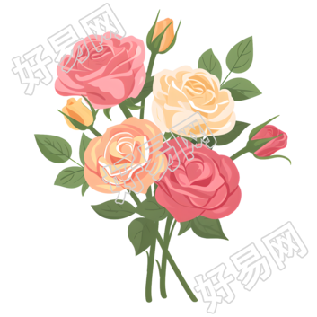 玫瑰花束PNG插画