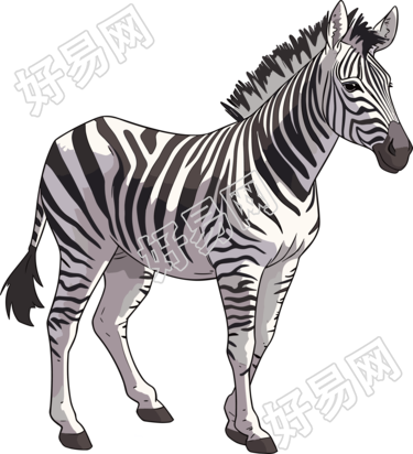 可爱斑马透明背景插图