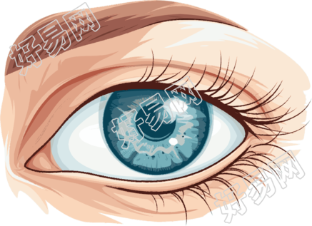 眼睛扁平插图