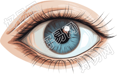 眼睛PNG商用插图