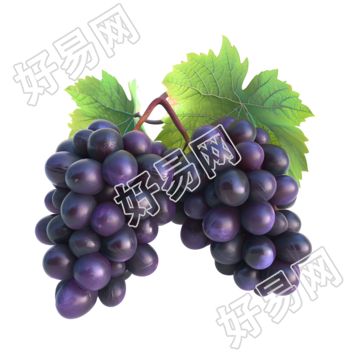 果蔬商业设计素材