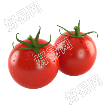 果蔬西红柿插画