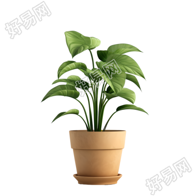 3D植物可爱简约插图
