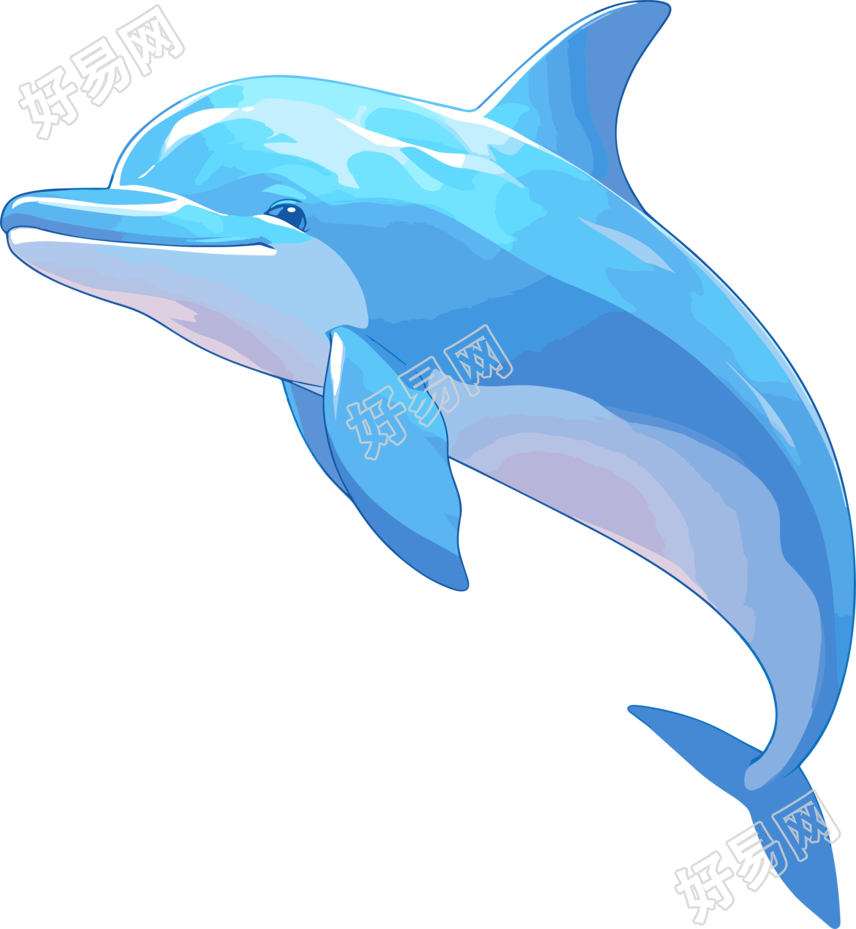 海豚卡通设计元素