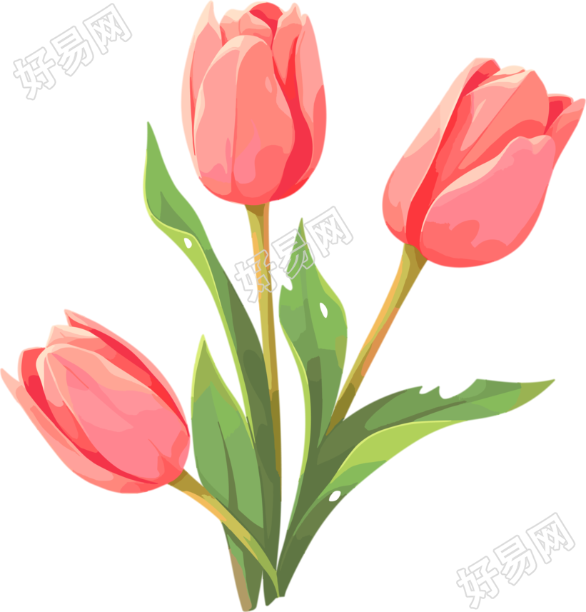 花朵透明背景插画