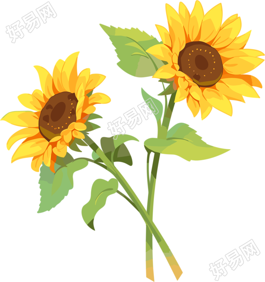 花朵平面插画素材