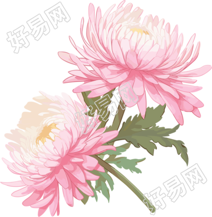 花朵商业设计元素