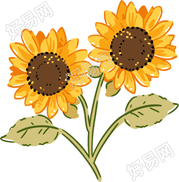 花朵高清质量插画