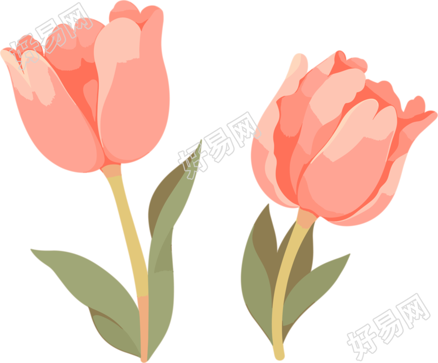 花朵商业设计插图