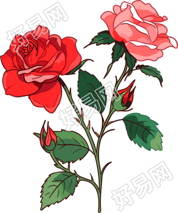 花朵简约平面插图