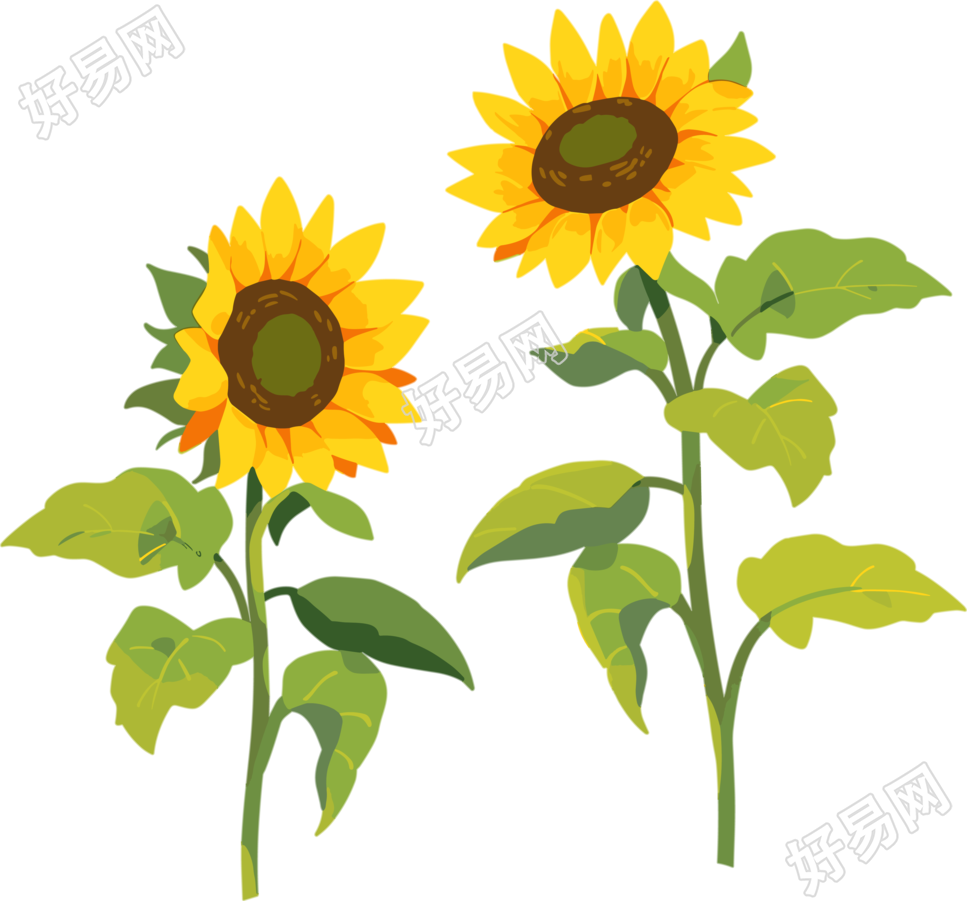 花朵商业设计元素