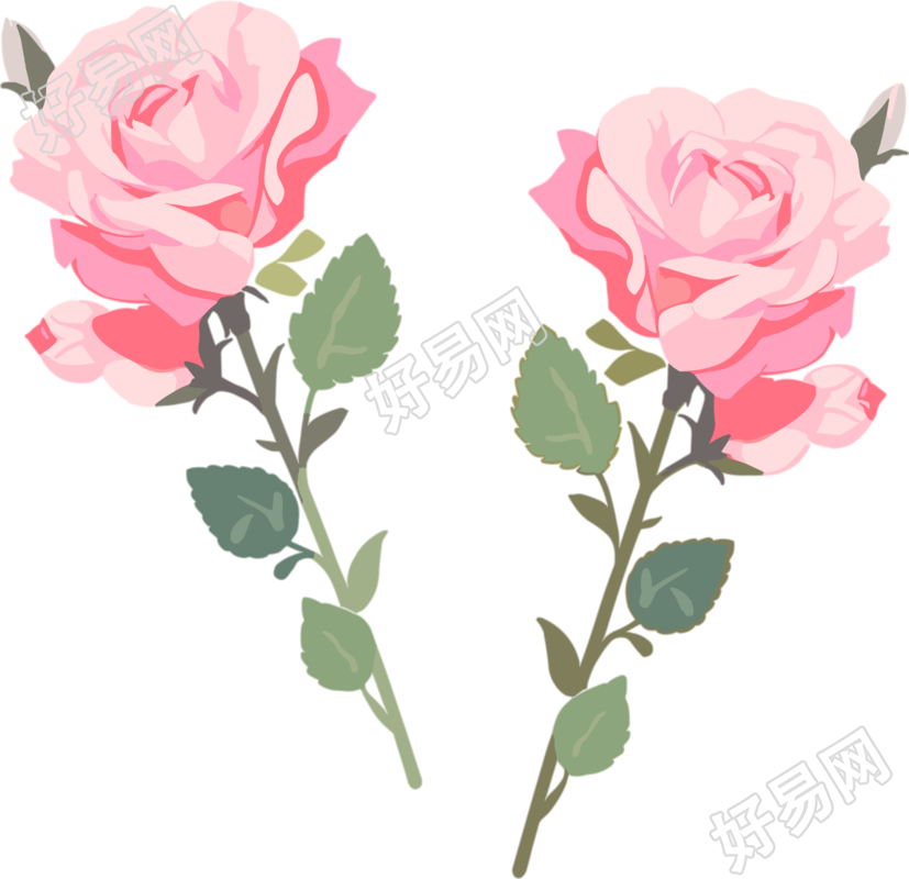 花朵高清质量素材