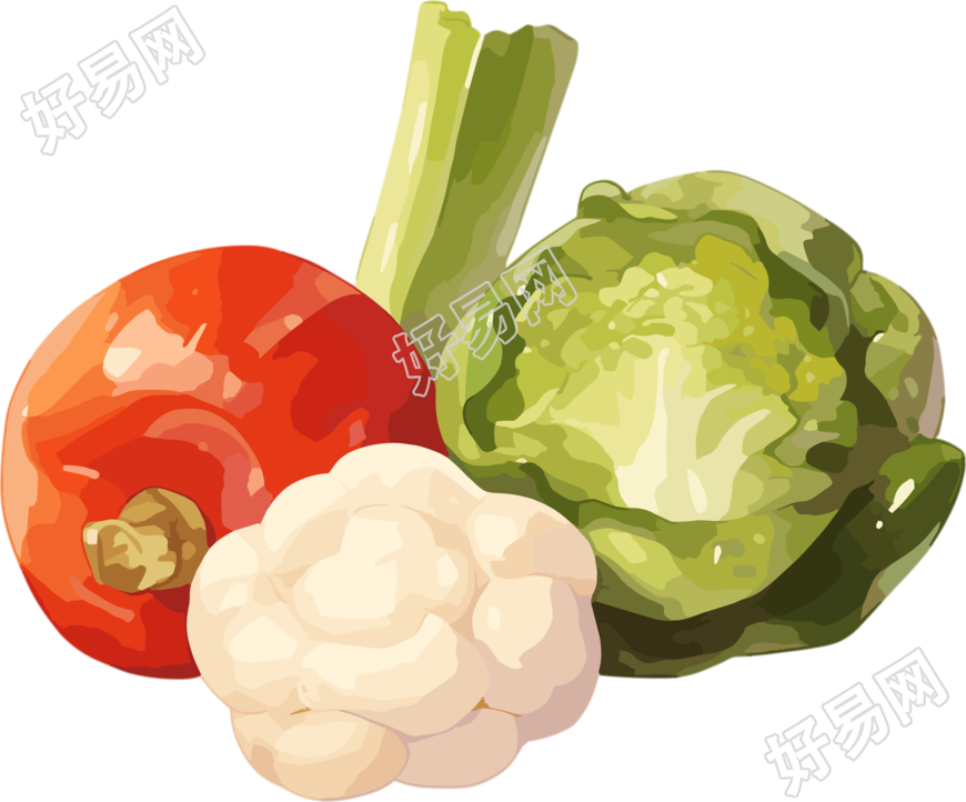 蔬菜水果卡通插画