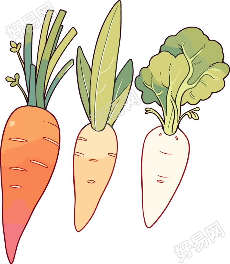 蔬菜水果卡通PNG插画