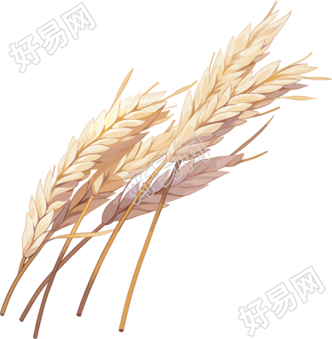 稻子透明背景素材
