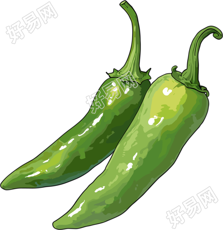 青辣椒商业设计素材