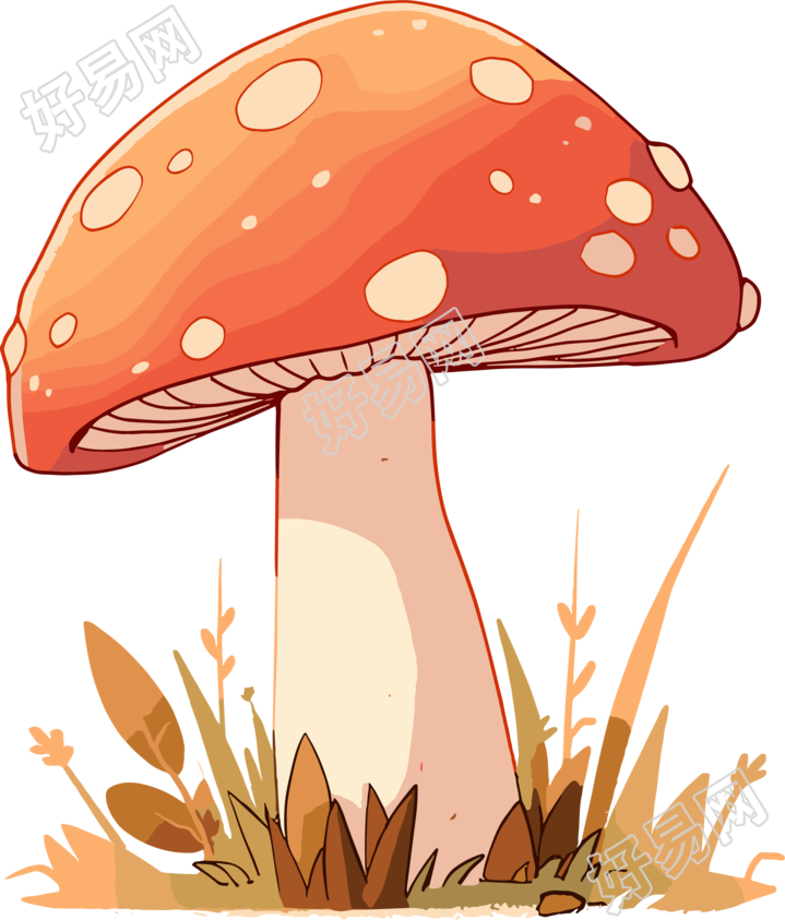 蘑菇卡通PNG插图