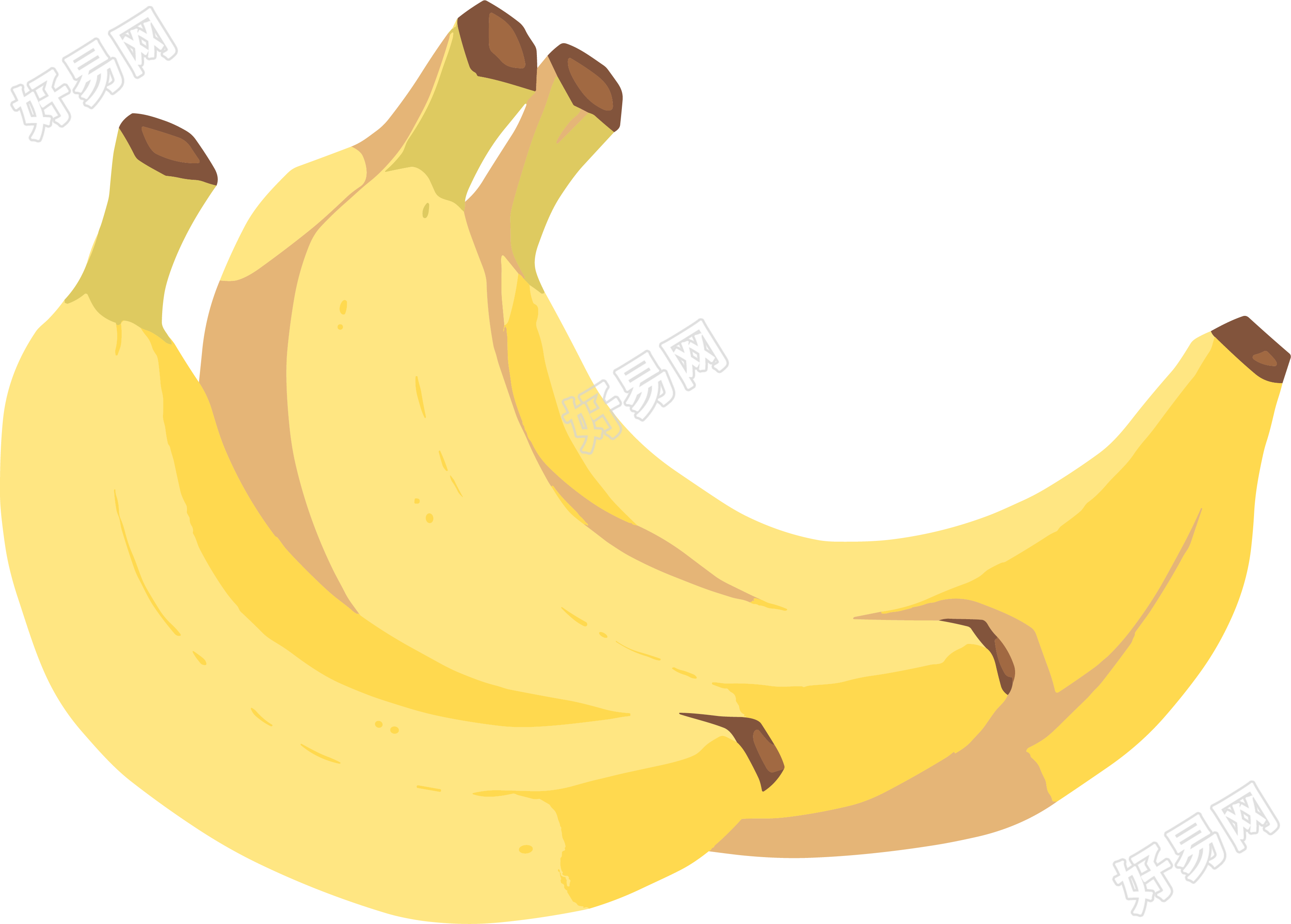 香蕉向量插图