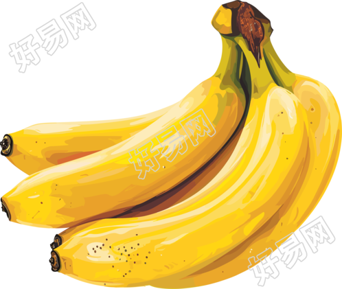 香蕉高清矢量素材