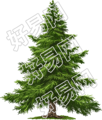 青松树商业插画