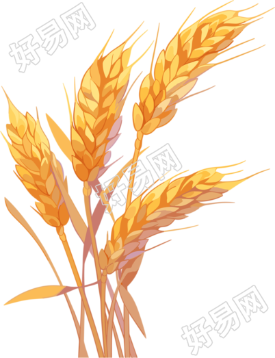 麦穗商业创意插图