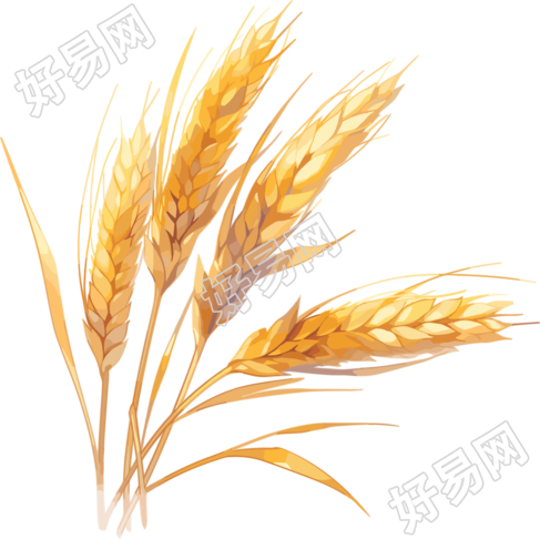 麦穗图形素材