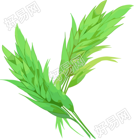 麦穗创意设计元素