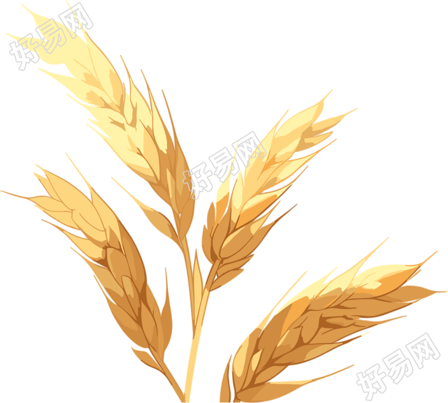 麦穗简单设计插画