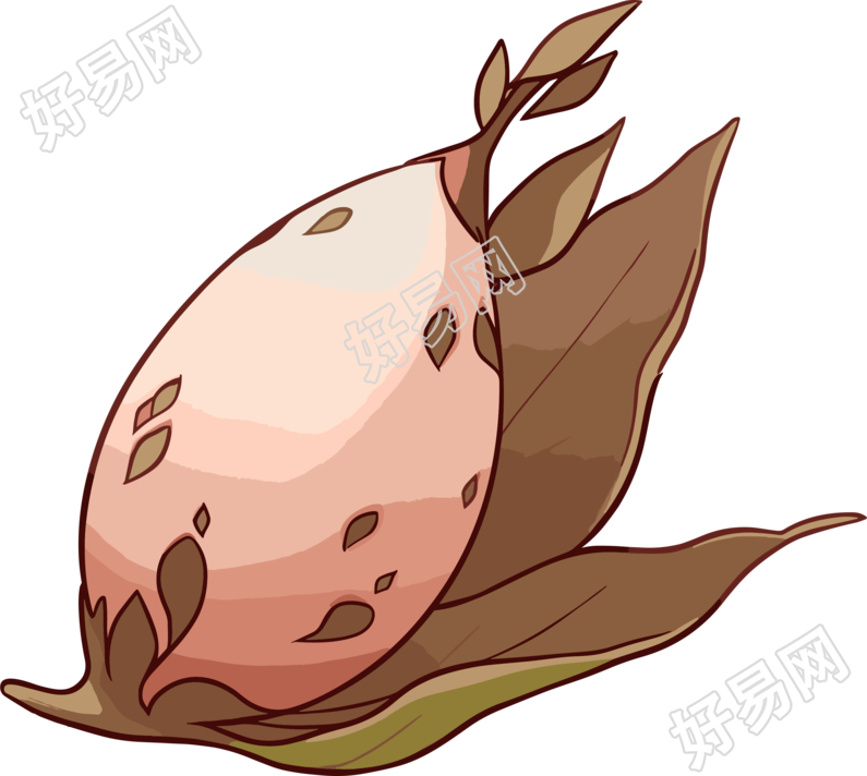 种子手绘插画素材