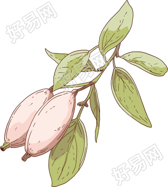 种子创意元素